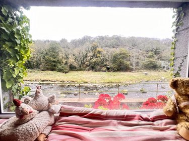 Maison a vendre Hillion 22120 Côtes-d'Armor 166 m2 6 pièces 238500 euros