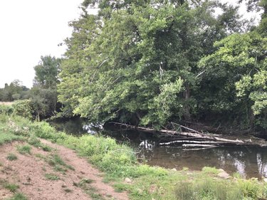 Terrains de loisirs bois etangs a vendre Chevillé 72350 Sarthe 56080 m2  31030 euros