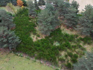 Terrain a batir a vendre Saint-Chély-d'Apcher 48200 Lozère 4849 m2  99000 euros