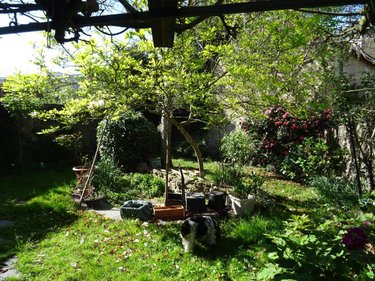 Maison a vendre Laval 53000 Mayenne 184 m2 9 pièces 397400 euros