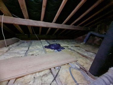 Maison a vendre Savigny-sur-Braye 41360 Loir-et-Cher 48 m2 2 pièces 54800 euros