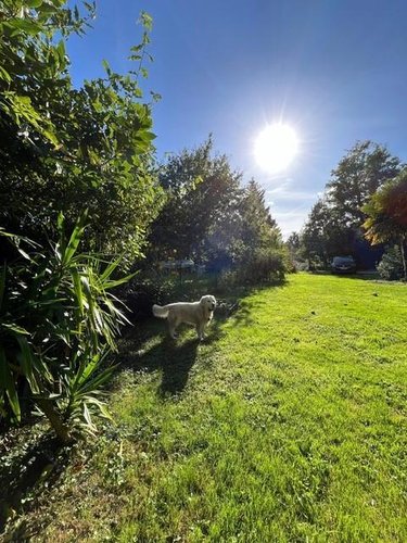 Maison a vendre Arradon 56610 Morbihan 106 m2 5 pièces 721000 euros