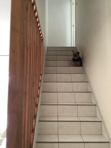 Appartement a vendre Trélazé 49800 Maine-et-Loire 61 m2 3 pièces 142020 euros