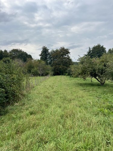 Terrains de loisirs bois etangs a vendre Lunay 41360 Loir-et-Cher 2855 m2  11800 euros