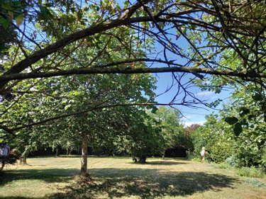 Terrain a batir a vendre Châtelain 53200 Mayenne 1016 m2  32100 euros