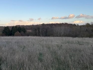 Terrains de loisirs bois etangs a vendre Saint-Germain-d'Aunay 61470 Orne 66140 m2  84200 euros