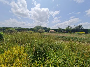 Maison a vendre Pleugriffet 56120 Morbihan 62 m2 4 pièces 115160 euros
