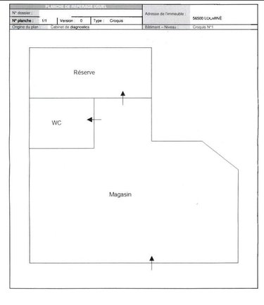 Immeuble a vendre Locminé 56500 Morbihan 120 m2  338140 euros