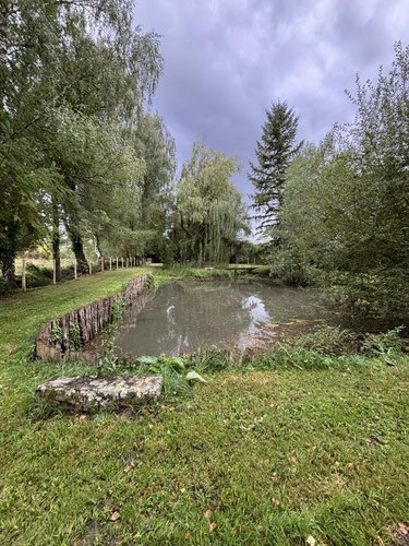 Terrains de loisirs bois etangs a vendre Le Grand-Lucé 72150 Sarthe 3221 m2  37000 euros