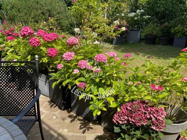 Maison a vendre Louveciennes 78430 Yvelines 135 m2  799900 euros