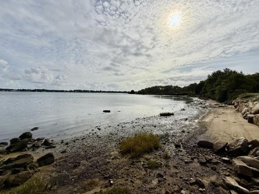 Maison a vendre Locmariaquer 56740 Morbihan 167 m2 6 pièces 689000 euros