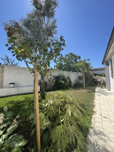 Maison a vendre La Flotte 17630 Charente-Maritime 150 m2 6 pièces 1557000 euros