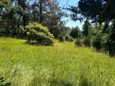 Maison a vendre Saint-Agathon 22200 Côtes-d'Armor 130 m2 5 pièces 101840 euros