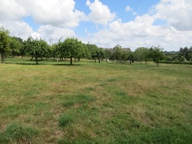 Maison a vendre Montchamp 14350 Calvados 105 m2 3 pièces 88800 euros
