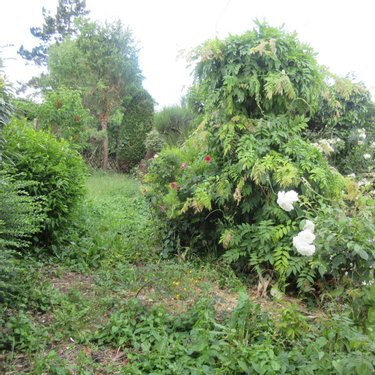 Maison a vendre Hénin-Beaumont 62110 Pas-de-Calais 80 m2 4 pièces 127000 euros