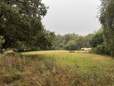 Maison a vendre Theix-Noyalo 56450 Morbihan 112 m2 6 pièces 394143 euros