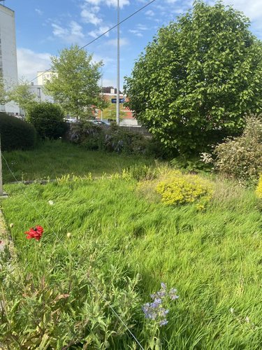 Maison a vendre Brest 29200 Finistère 85 m2  204750 euros