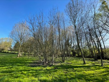 Terrain a batir a vendre Péronnas 01960 Ain 5835 m2  175000 euros