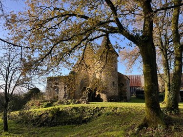 Maison a vendre Quistinic 56310 Morbihan 258 m2 11 pièces 985640 euros