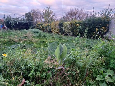 Maison a vendre Yffiniac 22120 Côtes-d'Armor 100 m2 5 pièces 199280 euros