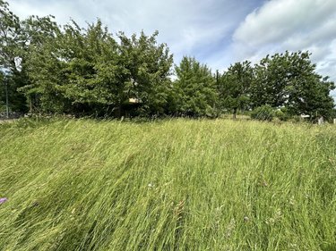 Viager maison Val-d'Arcomie 15320 Cantal 146 m2  50000 euros