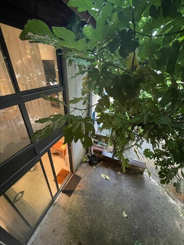 Maison a vendre Jujurieux 01640 Ain 99 m2 3 pièces 128000 euros