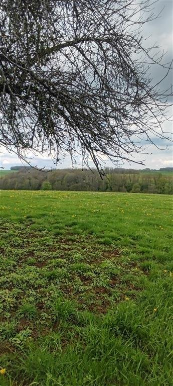 Terrain a batir a vendre Poix-Terron 08430 Ardennes 1313 m2  63600 euros