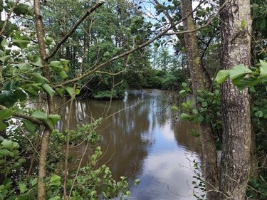 Immeuble a vendre Hannappes 08290 Ardennes  15350 euros