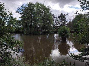 Immeuble a vendre Hannappes 08290 Ardennes  15350 euros