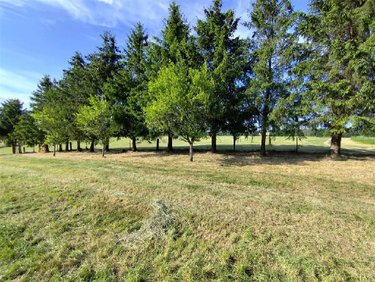 Terrain a batir a vendre Poix-Terron 08430 Ardennes 2230 m2  8990 euros