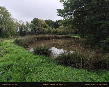 Maison a vendre Blanchefosse-et-Bay 08290 Ardennes 95 m2 5 pièces 69310 euros