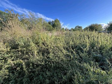 Maison a vendre La Neuville-lès-Wasigny 08270 Ardennes 95 m2 5 pièces 101300 euros