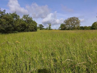 Terrain a batir a vendre Baâlons 08430 Ardennes 800 m2  23675 euros