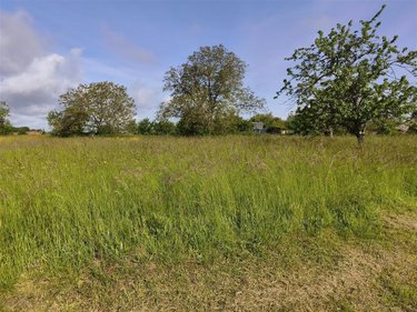 Terrain a batir a vendre Baâlons 08430 Ardennes 800 m2  23675 euros
