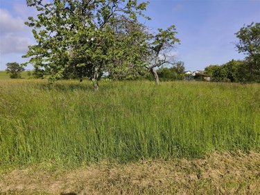 Terrain a batir a vendre Baâlons 08430 Ardennes 800 m2  23675 euros