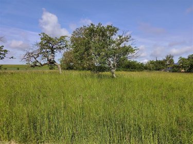 Terrain a batir a vendre Baâlons 08430 Ardennes 800 m2  23675 euros