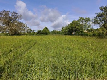 Terrain a batir a vendre Baâlons 08430 Ardennes 800 m2  23675 euros