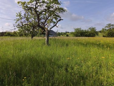 Terrain a batir a vendre Baâlons 08430 Ardennes 800 m2  23675 euros