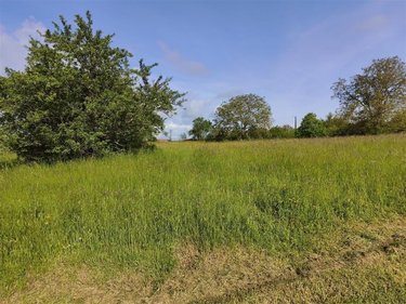Terrain a batir a vendre Baâlons 08430 Ardennes 800 m2  23675 euros