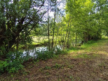 Terrain a batir a vendre Clavy-Warby 08460 Ardennes 1800 m2  8200 euros