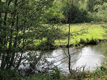 Terrain a batir a vendre Clavy-Warby 08460 Ardennes 1800 m2  8200 euros