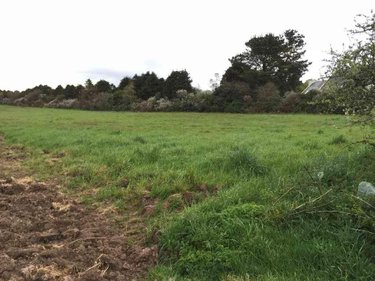 Terrains de loisirs bois etangs a vendre Plouhinec 29780 Finistère 1086 m2  42233 euros