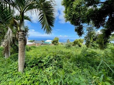 Terrain a batir a vendre Saint-Paul 97460 Réunion 1340 m2  351200 euros