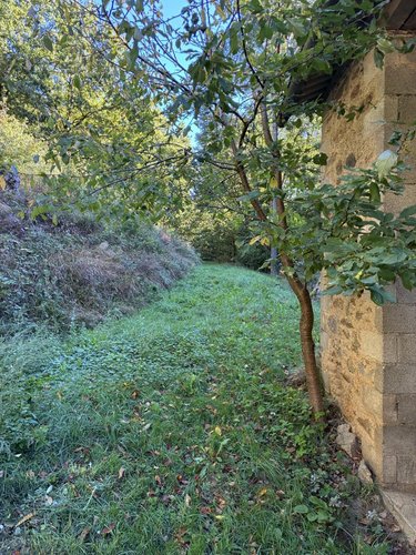 Maison a vendre Salmiech 12120 Aveyron 95 m2 6 pièces 84500 euros