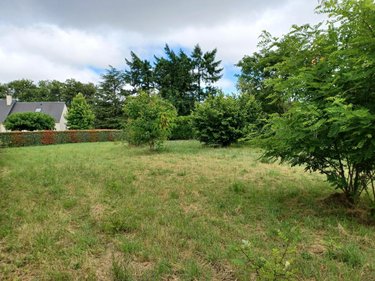 Terrain a batir a vendre Chinon 37500 Indre-et-Loire 1642 m2  64000 euros