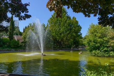 Appartement a vendre Malakoff 92240 Hauts-de-Seine 49 m2 2 pièces 226000 euros