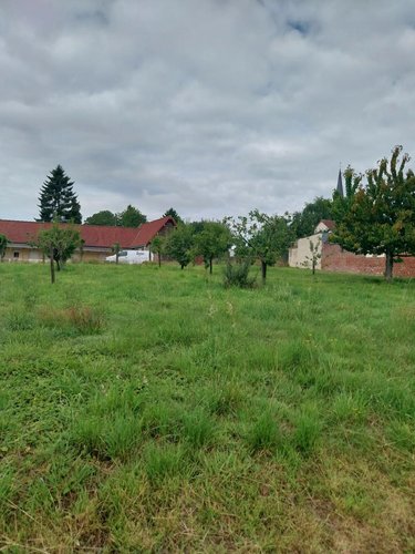 Terrain a batir a vendre Sombrin 62810 Pas-de-Calais 1275 m2  58000 euros
