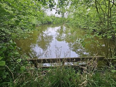 Terrains de loisirs bois etangs a vendre Oudezeele 59670 Nord 14373 m2  46000 euros