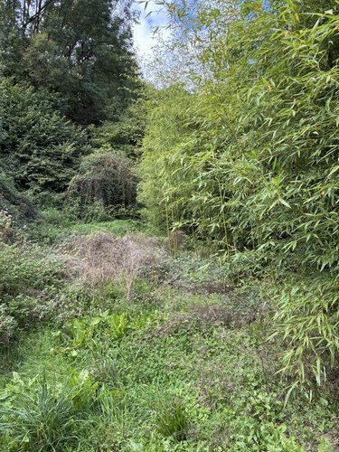 Divers a vendre Coupiac 12550 Aveyron 200 m2  64000 euros