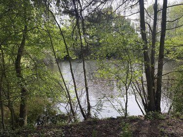 Terrains de loisirs bois etangs a vendre Saint-Martin-du-Bois 49500 Maine-et-Loire 5094 m2  48600 euros